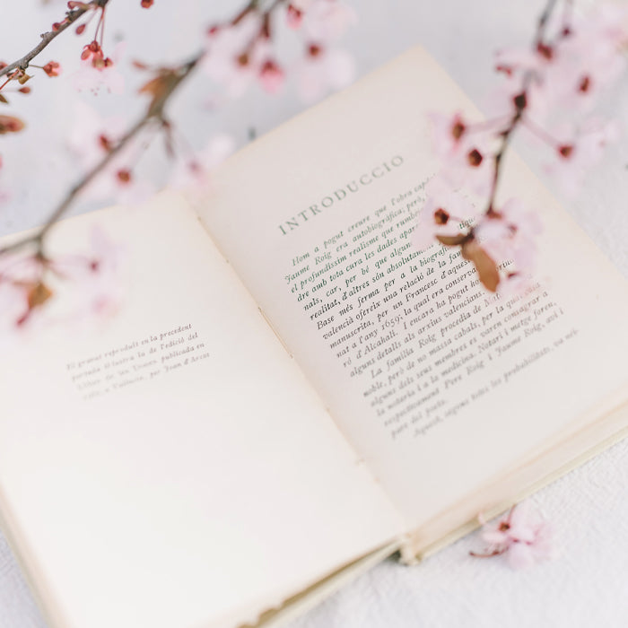 Blanket Size Comparison: What's the difference?