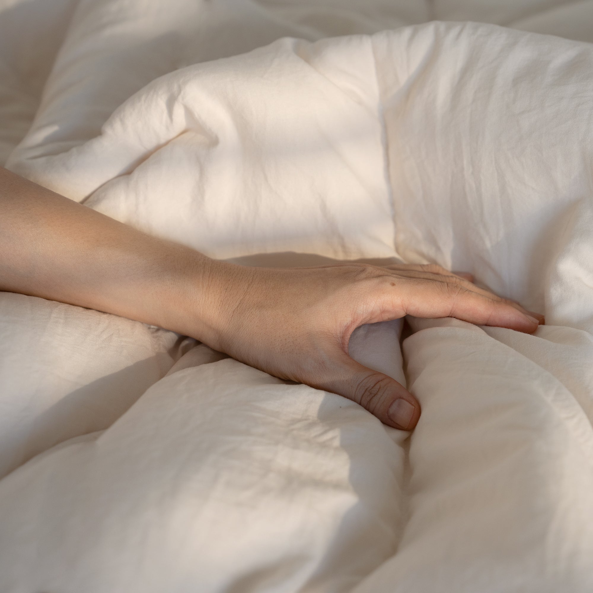 Semi-Microfiber Cloud Comforter - Cream