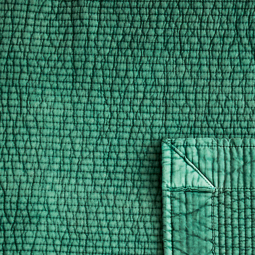 #color_forest green