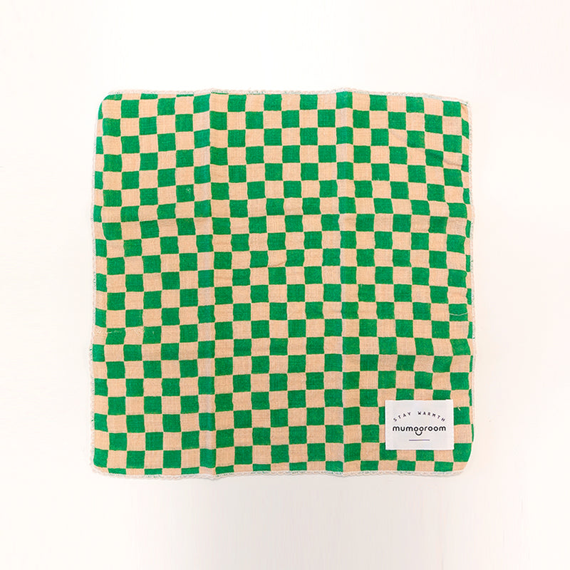 Chic Checker board Place Mat, Dish Cloth (Beige/Green, Mint/Navy)